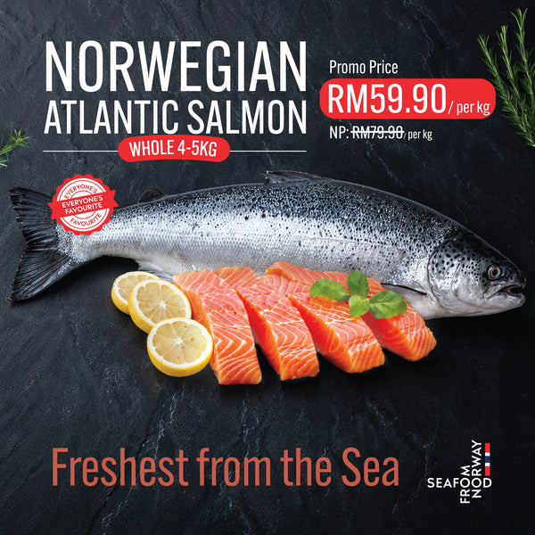 Norwegian Atlantic Salmon