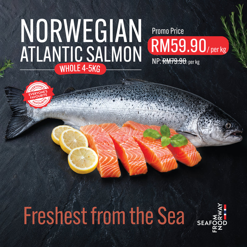 Norwegian Atlantic Salmon
