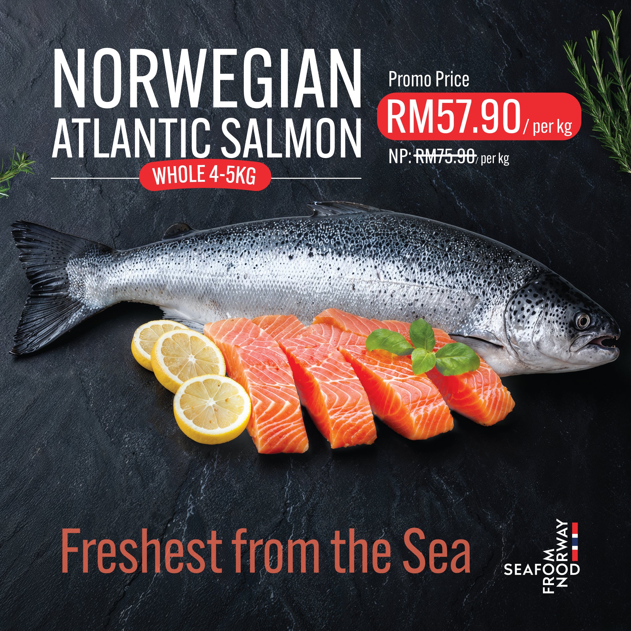 Premium Fish Pre-Order