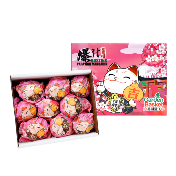 Papa Gan Mandarin Gift Box (2kg)